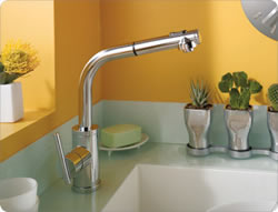 Danze Parma Single Handle Pull Out Kitchen Faucet