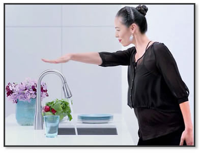 Moen MotionSense Faucet