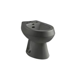 Kohler K-4854-58 San Tropez Vertical Spray Bidet with 4