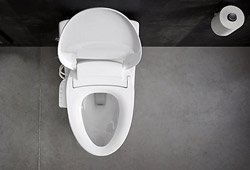 Toilet Seats and Washlets